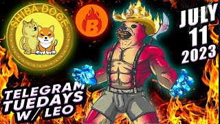 🤯 Bullish ShibaDoge Burn Hangout Lunched by Shiba Inu Shibarium Doge Coin Multi Millionaires Whales