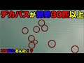 【バス釣り】バス釣りの楽しさは釣るだけじゃない!(言い訳...)魚は釣れてないですけど動画あげて良いですか?