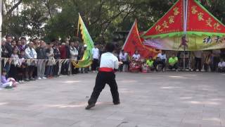 香港功夫表演201702123
