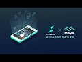 Maya Protocol integration with THORWallet DEX