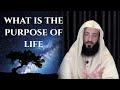 What Is The Purpose Of Life ? || Ustadh Wahaj Tarin