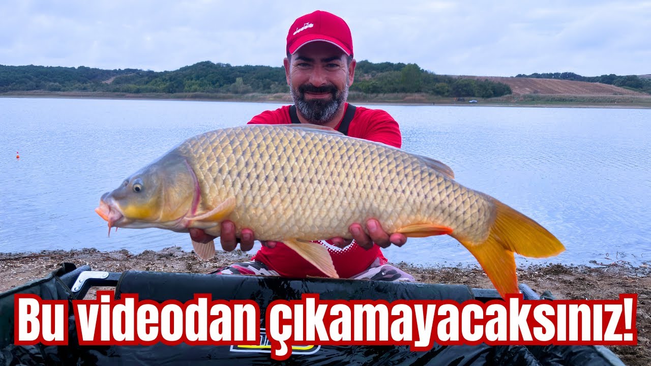 7 дней на плотине Текирдаг-Ханоглу | ЧАСТЬ 2 |  #карп #лагерь #рыбалка #карп #ловля карпа #природа