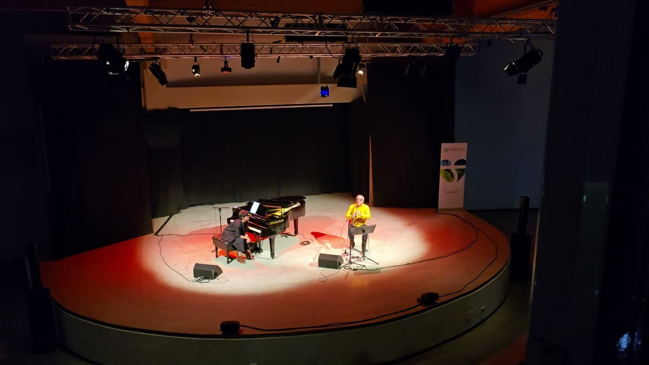 Gabriele Mirabassi assolo