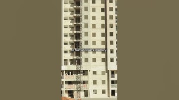 Little-known cells might be key to human brain’s massive memory - The Washington Post