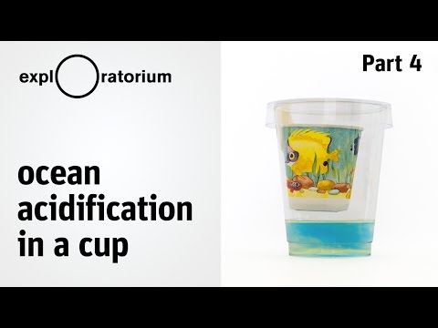 Video: Bạn có thể mang đồ ăn vào Exploratorium không?