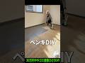 ペンキを塗りまくった結果‥!【30万円ややゴミ屋敷】 #リフォーム #diy #リノベーション