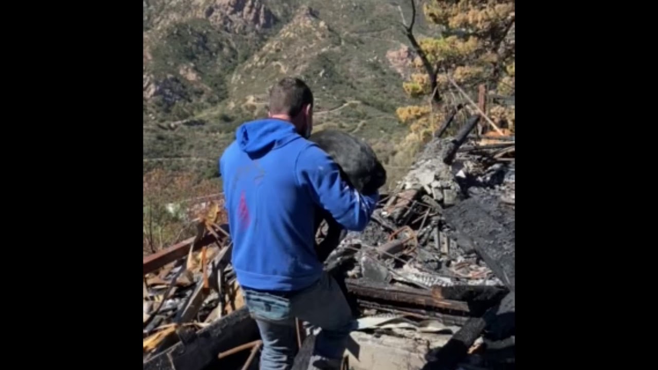 Accelerant Detection Canine Training - Fire scene - California