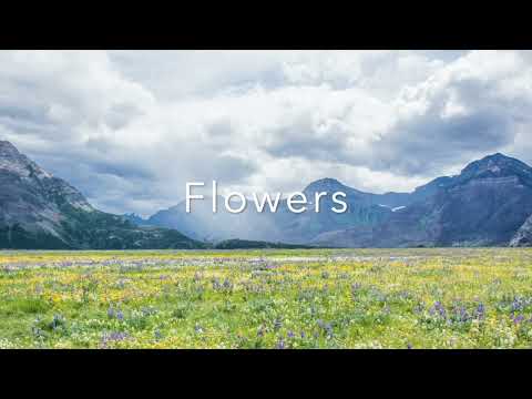 Flowers 花も 꽃들도 - Tsuyoshi Uchikoshi
