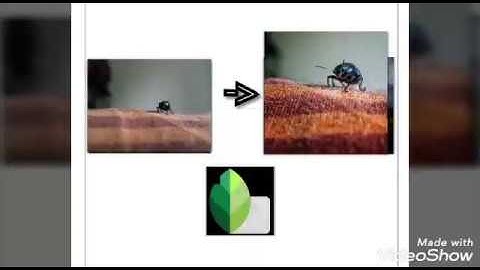 Macro photography Edit Using Snapseed