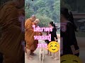 #สายมู #สาธุ #เปิดการมองเห็น #ความสุข #ความศรัทธา #ใส่บาตร #automobile #ขอพร #colonelkkjϟ