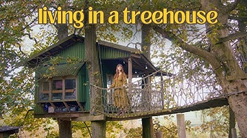 Living Simply in an Off-Grid Treehouse