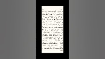 الورد اليومي: 4 صفحات (361-362-363-364) لتجنب هجر القرآن | تذكير يومي مستمر #قرآن #تلاوة