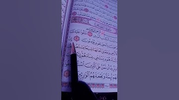 سورة القصص 🤍الشيخ ياسر ياسر الدوسري