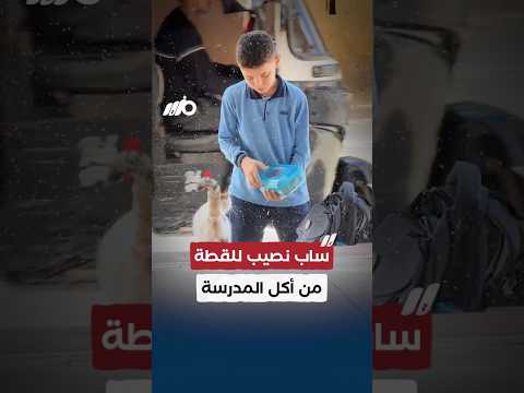 طفل يشارك وجبته المدرسية مع قطة في مشهد إنساني مؤثر