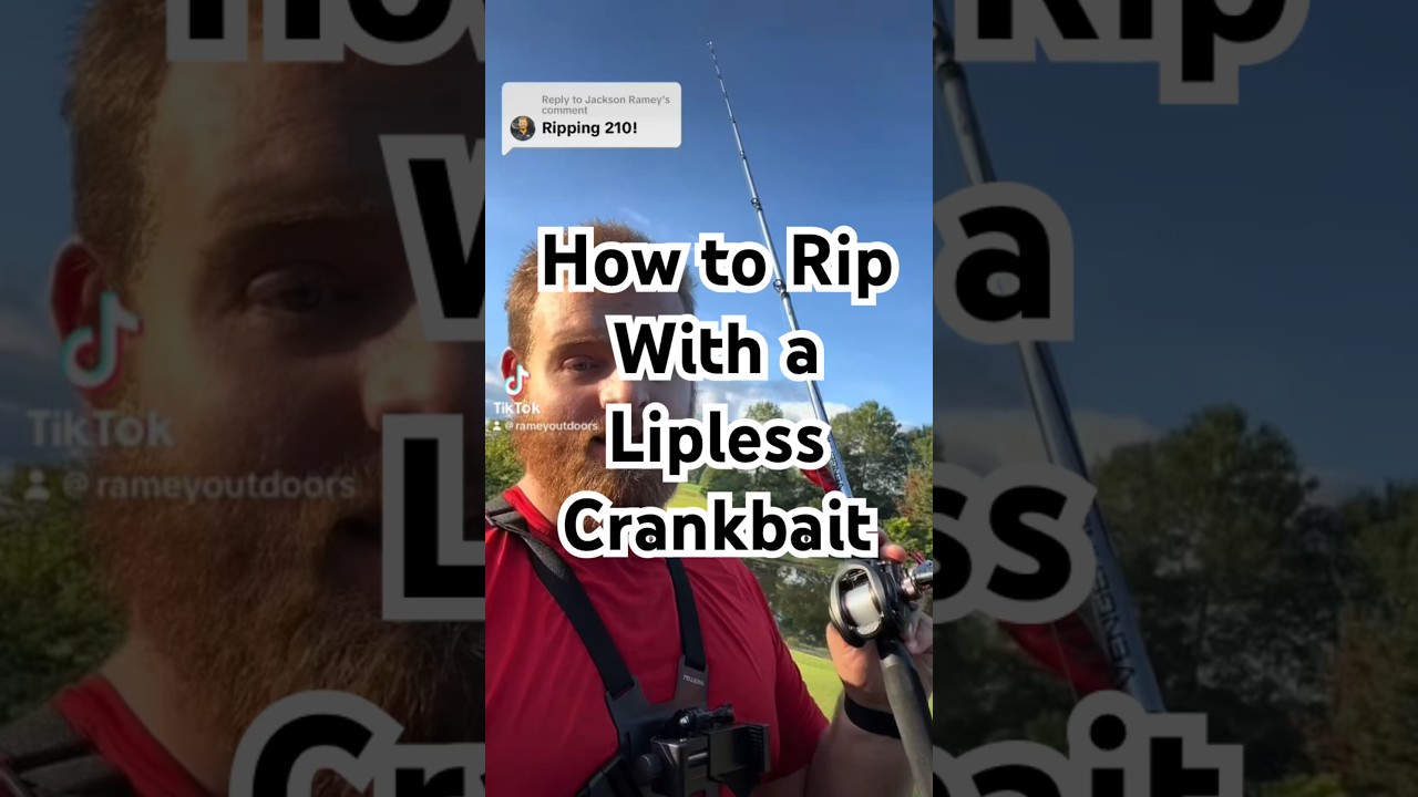 How to rip with a lipless crankbait 