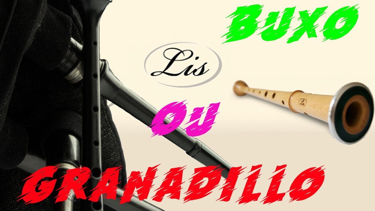 🎶 BUXO ou GRANADILLO❔ #03 LIS