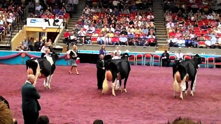 Best Bred & Owned International Holstein Show 2011