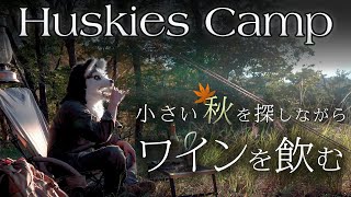 【ソロキャンプ 】小さい秋を探しながら、BUNDOK ソロ ベース EXでシャブリ プルミエ・クリュを飲む!!