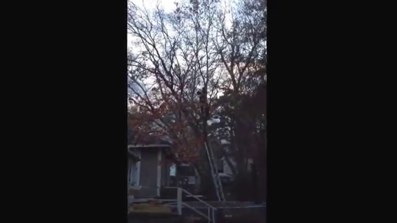 camera iphone 8 plus apk Shreveport Firefighter rescues cat from a tree Christmas morning 2013.