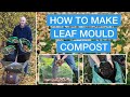 How to make leaf mould compost  turn leaves into leaf mold stepbystep