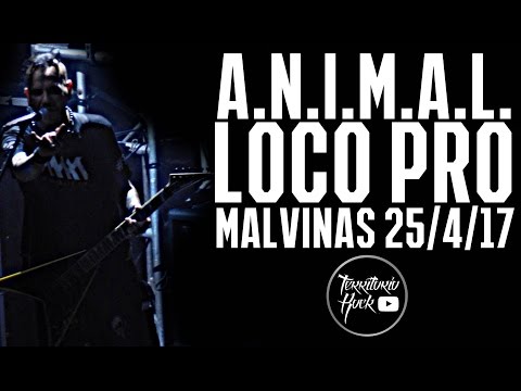 A.N.I.M.A.L. - Loco Pro (Malvinas 25/4/17) | Territorio Rock