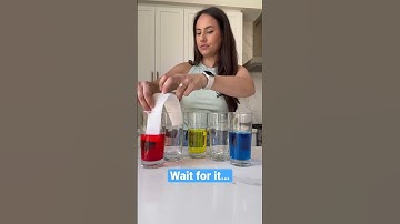 Learn about plants with walking water 🌱💦🤯!! Science for kids! #scienceexperiment #stemeducation