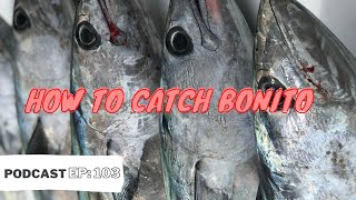 How to catch Bonito Casting, Jigging & Trolling (Bonito Fishing Tactics & Tackle) screenshot 1