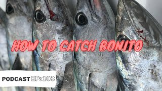 How to catch Bonito Casting, Jigging & Trolling (Bonito Fishing Tactics & Tackle)