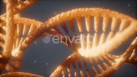 Double Helical Structure of Dna Strand Close-up Animation | Motion Graphics - Envato elements