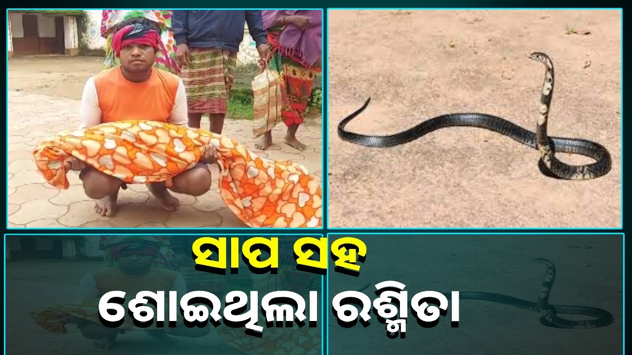 ପରିବାର ଲୋକେ ରଶ୍ମିତାଙ୍କ ସହ ସାଙ୍ଗରେ ସାପକୁ ନେଇ ଯାଇଥିଲେ ଡାକ୍ତରଖାନା || Knews Odisha
