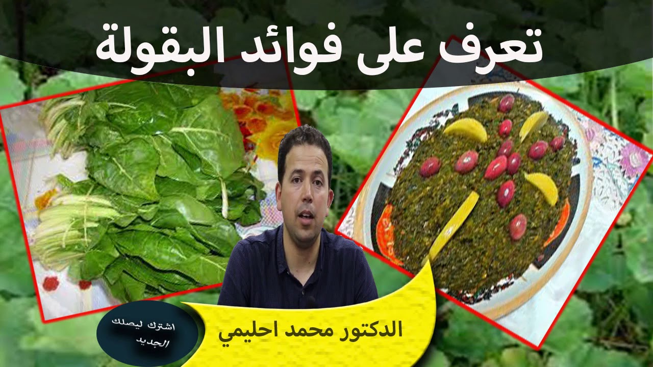 تعرف على فوائد ومنافع البقولة وقيمتها الغذائية  الدكتور محمد احليمي