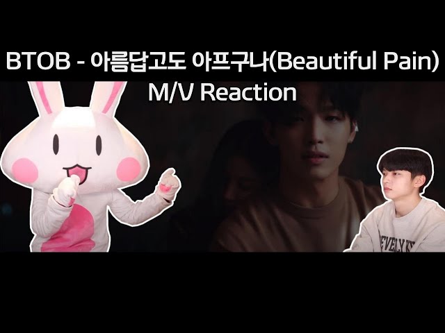 SUB) BTOB(비투비 ) -Beautiful pain(아름답고도 아프구나) /KOREAN REACTION(한국인 리액션) class=