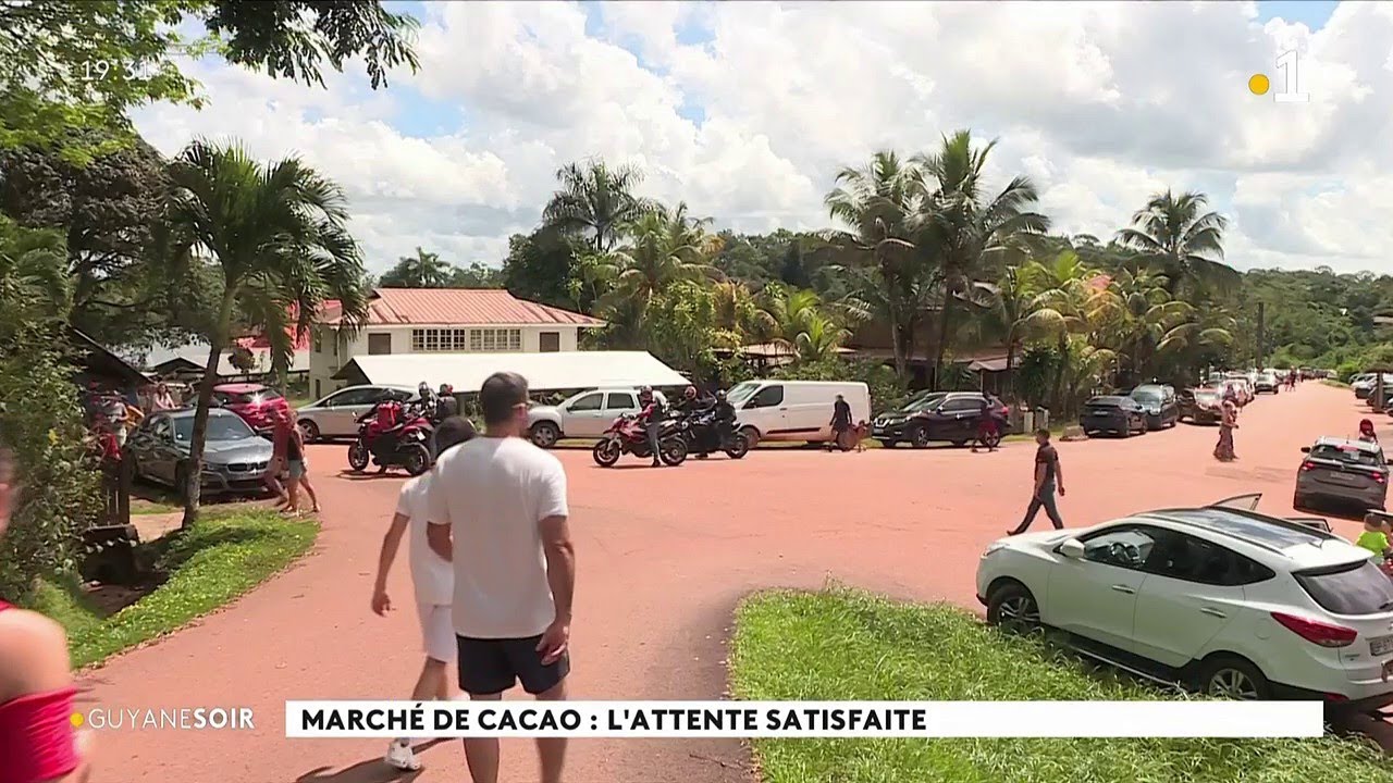 La réouverture du marché de cacao
