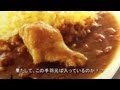 レトルト 手羽元カレー 博多華味鳥