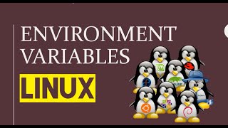 How to use Linux Environment Variables
