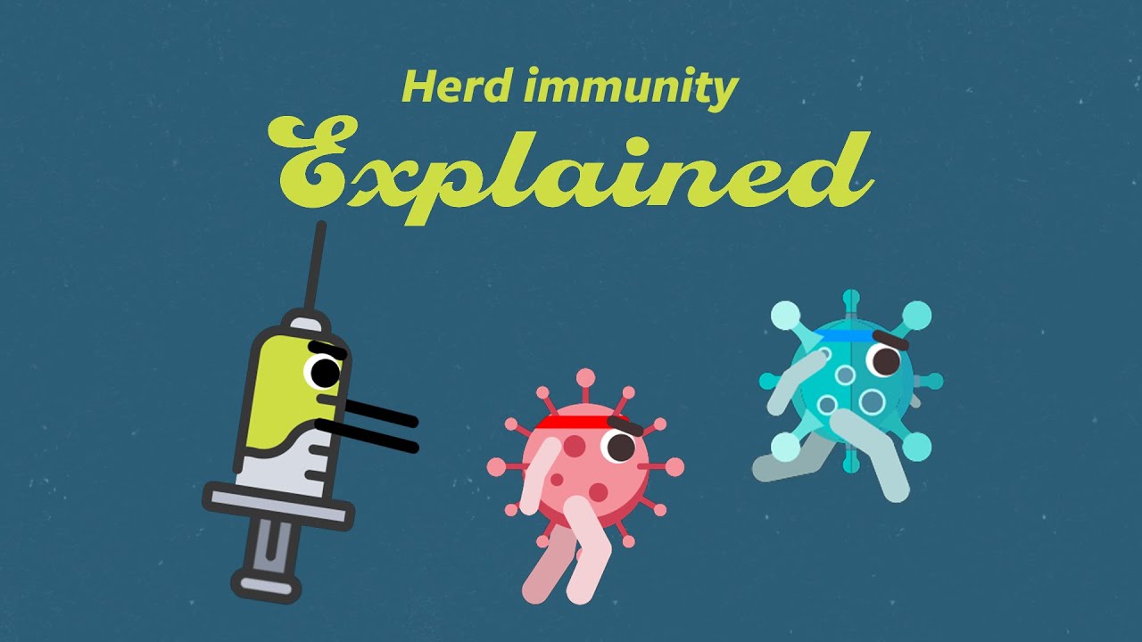Herd immunity: Explained