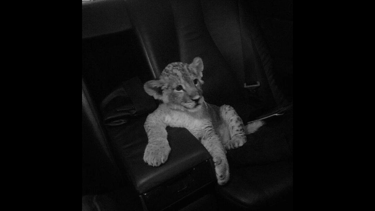 (FREE) Drake x 21 Savage x Asap Rocky Type Beat - Gomorrah | Trap Type Beat 2026