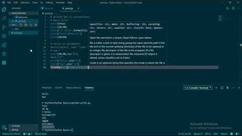 The complete Python print() function. GitHub Source Code attached