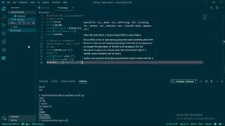 The complete Python print() function. GitHub Source Code attached