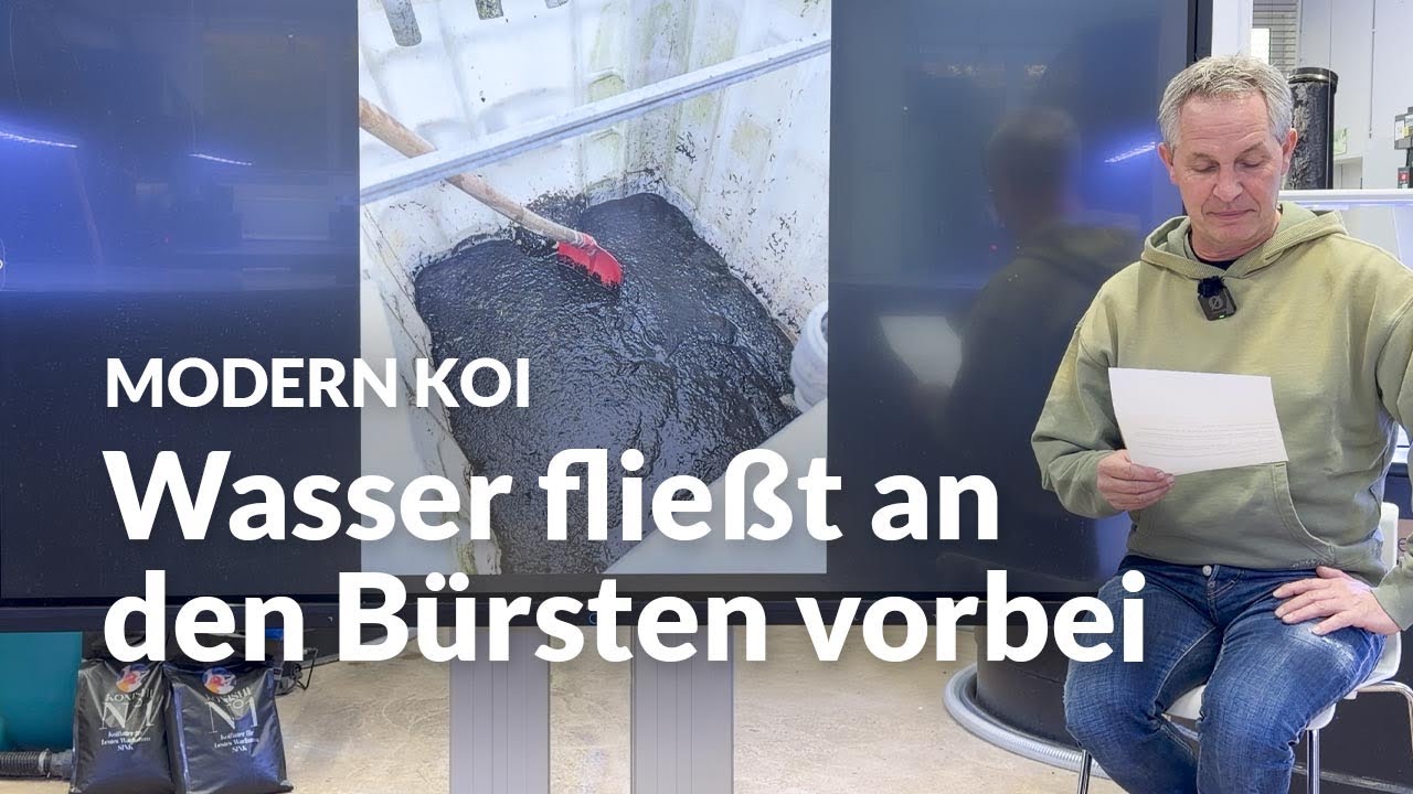 Warum sind meine Bürsten im IBC-Filter ungleichmäßig besiedelt? | Modern Koi Blog #8004