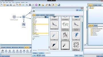 Data Visualization Using IBM SPSS Modeler