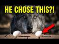 Hard Boiled or RAW? Ryuk's SHOCKING Choice!