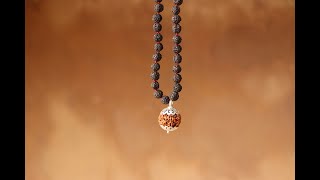 Customized Rudraksha Mala