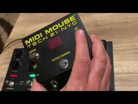 DTM・DAW TECH 21 MIDI MOUSE Amazon.com: Tech 21 MIDI Mouse Pedal : Musical Instruments