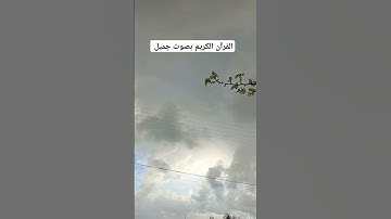 القرآن الكريم بصوت جميل #القران_الكريم #عبدالعزيز_سحيم #اكسبلور #تيك_توك #عيد_الفطر
