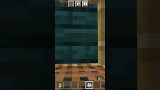 Minecraft #shortvideo Resimi