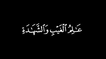 اللَّهُ يَعْلَمُ مَا تَحْمِلُ كُلُّ أُنْثَى/ كرومات قرآن / القارئ : محمود خليل الحصري