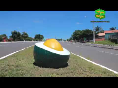 Pequizeiro Tocantins fonte: i.ytimg.com