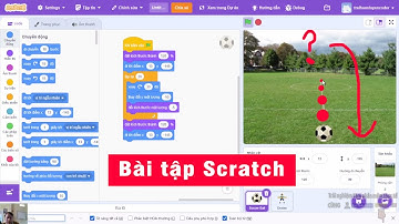 Bài tập tìm lỗi lệnh chuyển động trong Scratch thay đổi trục Y | Lập trình trẻ em Scratch