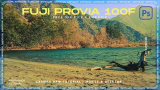 Color Like a Pro: FUJICHROME PROVIA 100F Editing in Photoshop | FREE PRESET screenshot 4